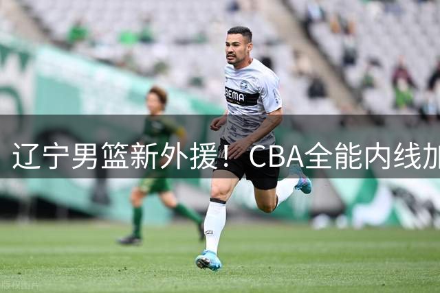辽宁男篮新外援！CBA全能内线加盟，携手赵继伟，乌戈冲击前四